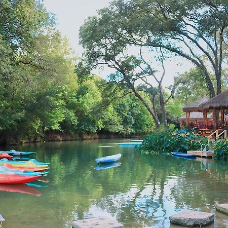 Son'S Rio Cibolo Birdhouse Cabin #11 Beautiful Creek Front Cabins And Cabanas! Villa Marion Exteriör bild