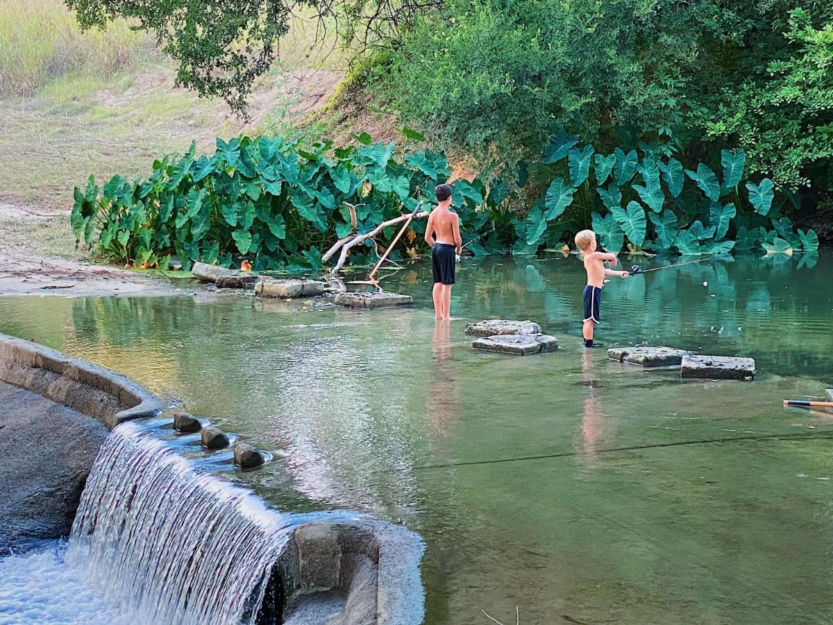 Son'S Rio Cibolo Birdhouse Cabin #11 Beautiful Creek Front Cabins And Cabanas! Villa Marion Exteriör bild