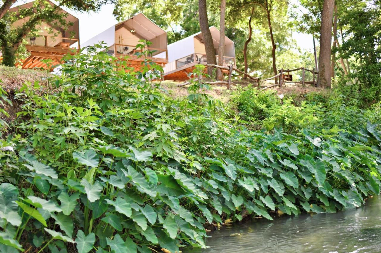 Son'S Rio Cibolo Birdhouse Cabin #11 Beautiful Creek Front Cabins And Cabanas! Villa Marion Exteriör bild