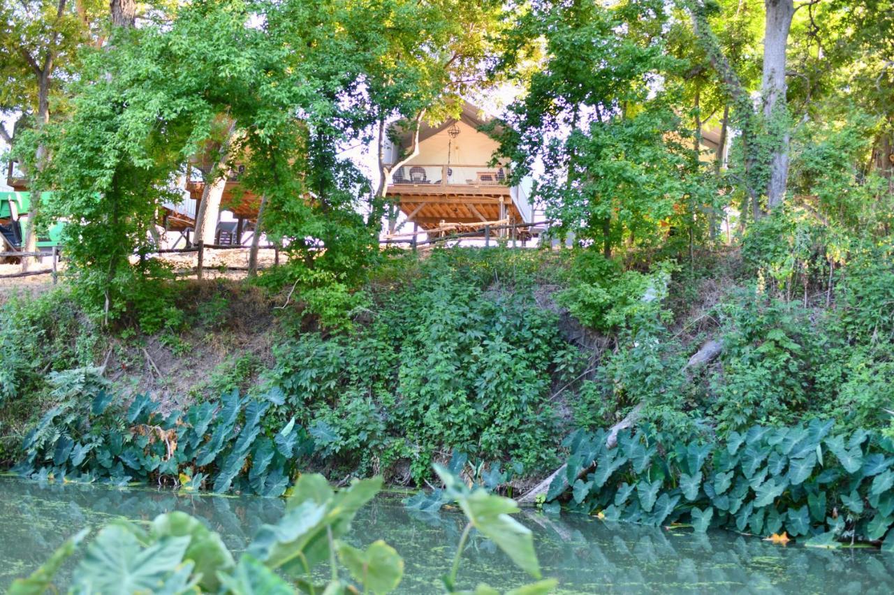 Son'S Rio Cibolo Birdhouse Cabin #11 Beautiful Creek Front Cabins And Cabanas! Villa Marion Exteriör bild