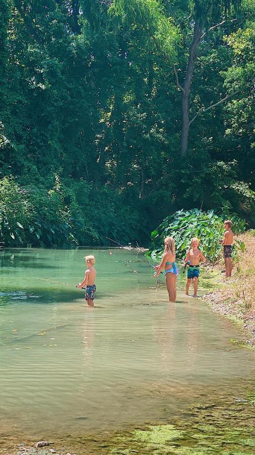 Son'S Rio Cibolo Birdhouse Cabin #11 Beautiful Creek Front Cabins And Cabanas! Villa Marion Exteriör bild